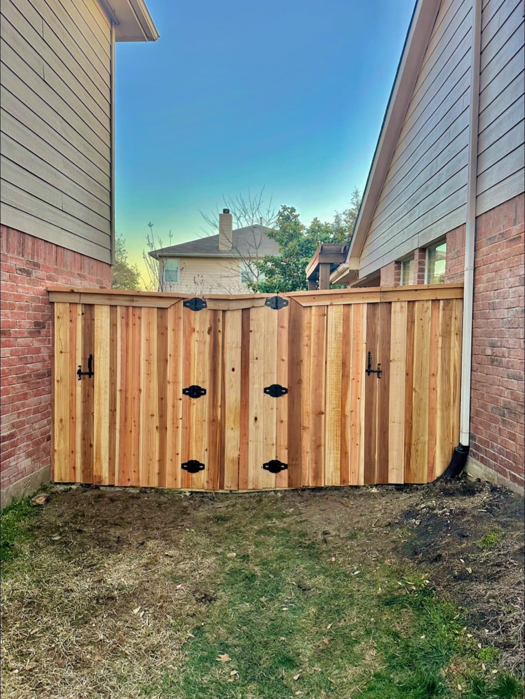 Board on board cedar wood fence with a double gate in a residential backyard